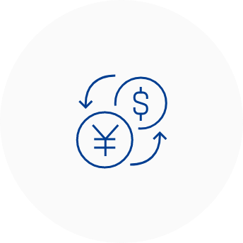 Exchange rate advantage