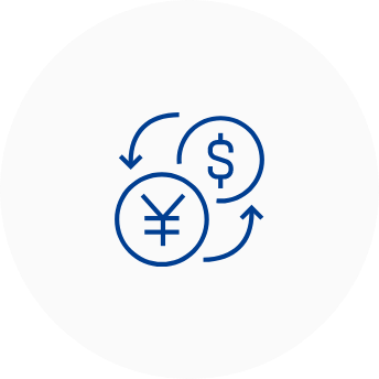 Exchange Rate Advantage